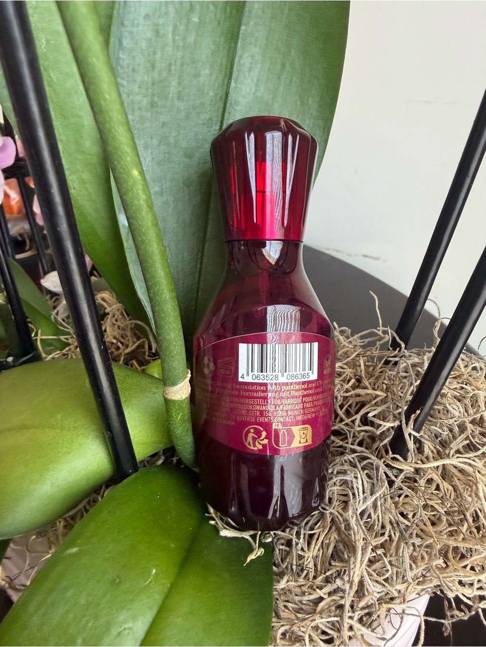 Red Hair Perfume - The Wooden (75ml) - Picture 2 of 3